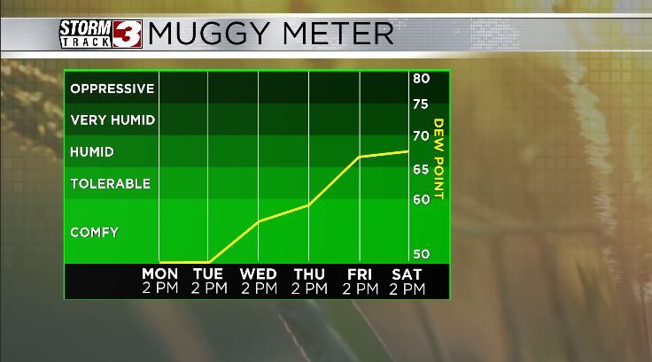 Muggy Meter
